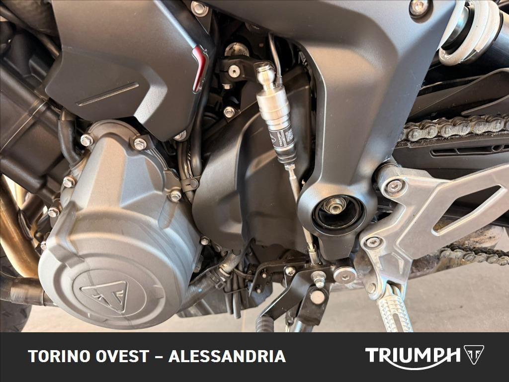 TRIUMPH Tiger Sport 660 Abs