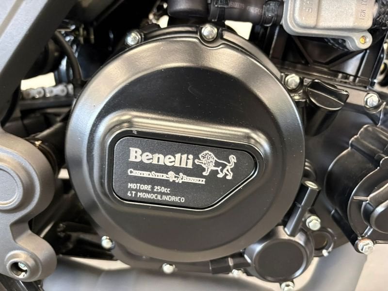 BENELLI Leoncino 250 E5